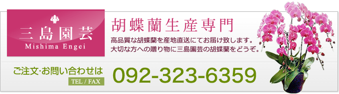 �O�����| �������E���₢���킹�� TEL/FAX 092-323-6359